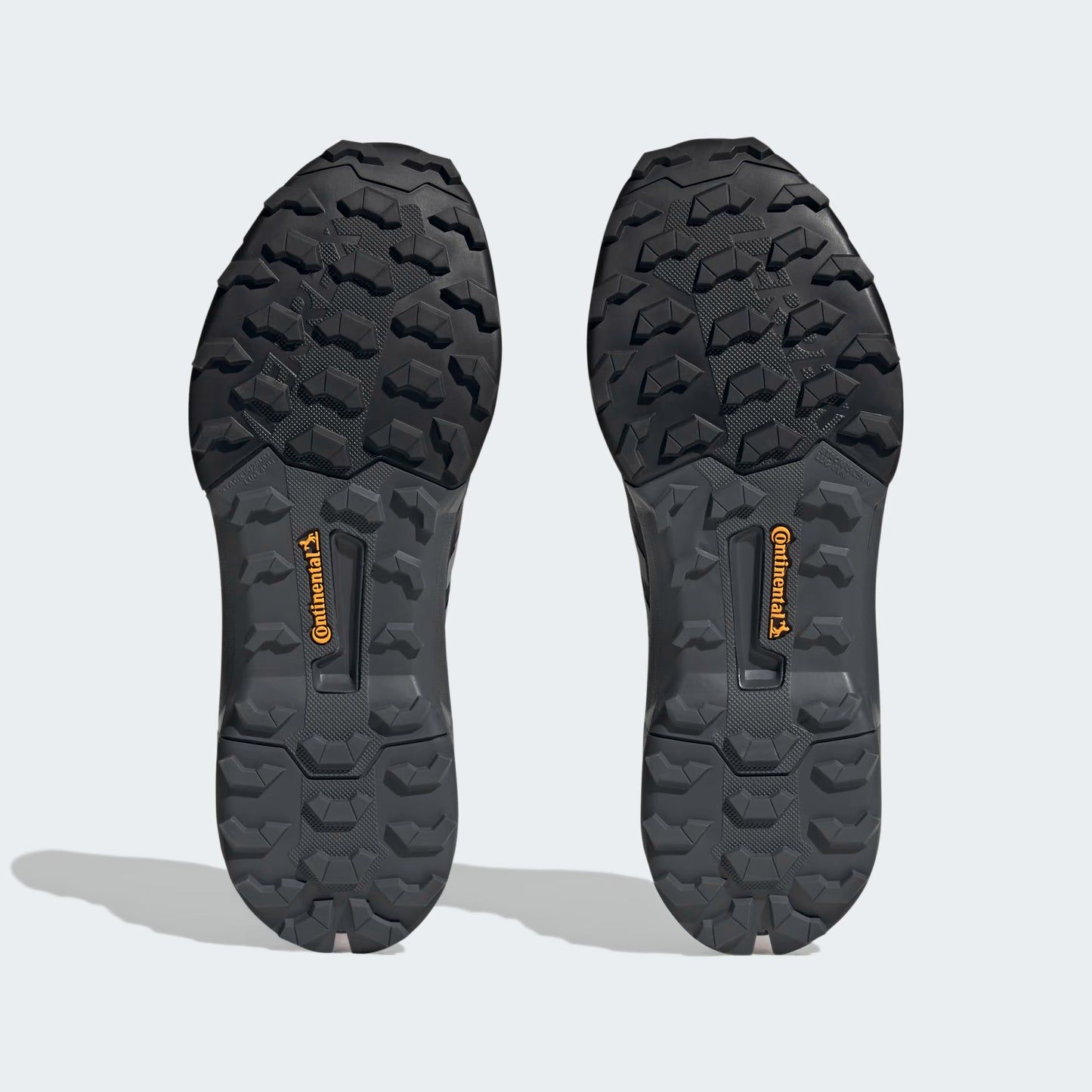 Championes Adidas Terrex AX4 GTX - Gris
